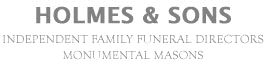 David Holmes & Sons - logo